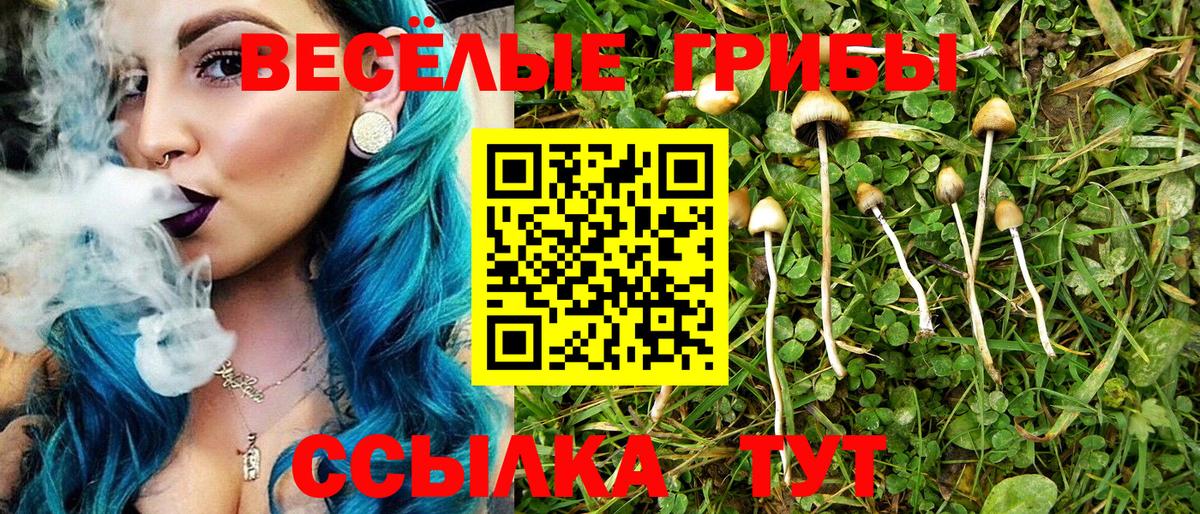 Тольятти  Псилоцибиновые грибы Psilocybe  Вход с VPN 